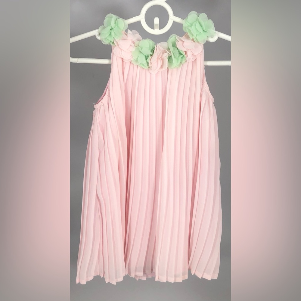 Blueberry Blvd Pink Pleated Dress 24M Floral Neckline Chiffon